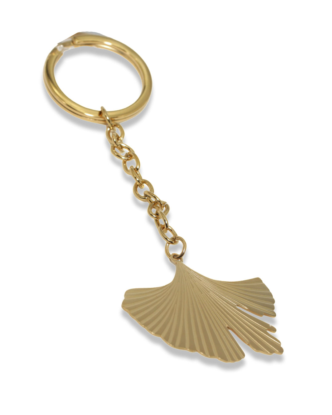 Ginkgo sleutelhanger