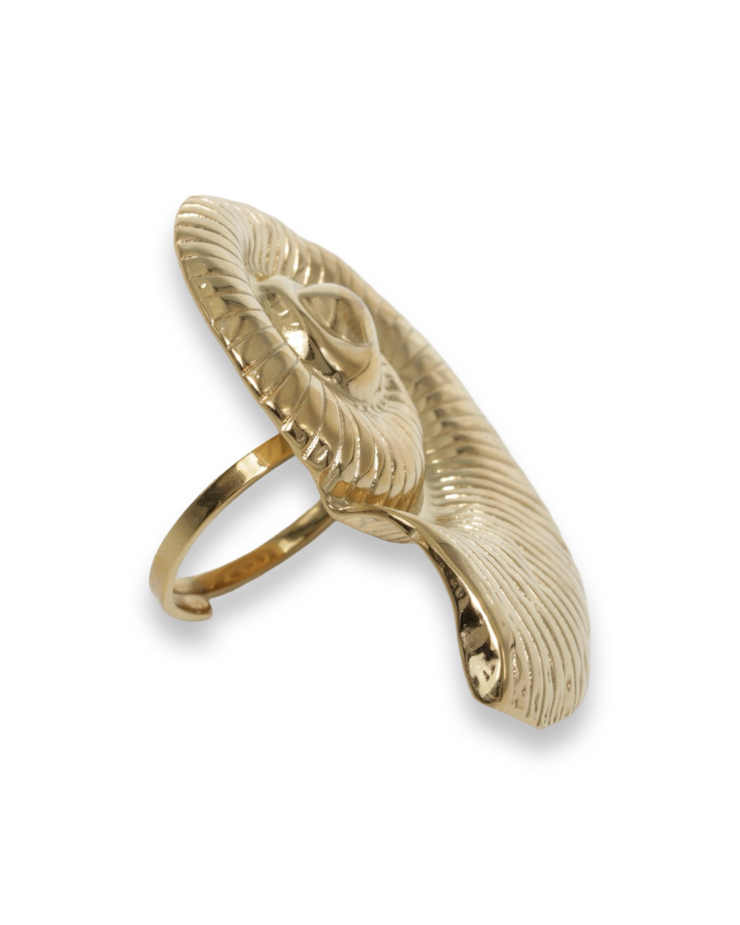 Spiral shell XL ring
