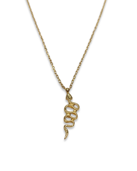 Snake ketting