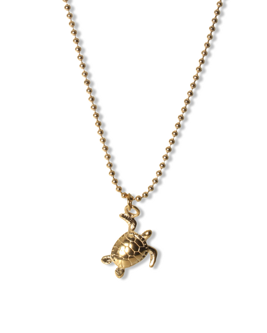 Turtle ketting