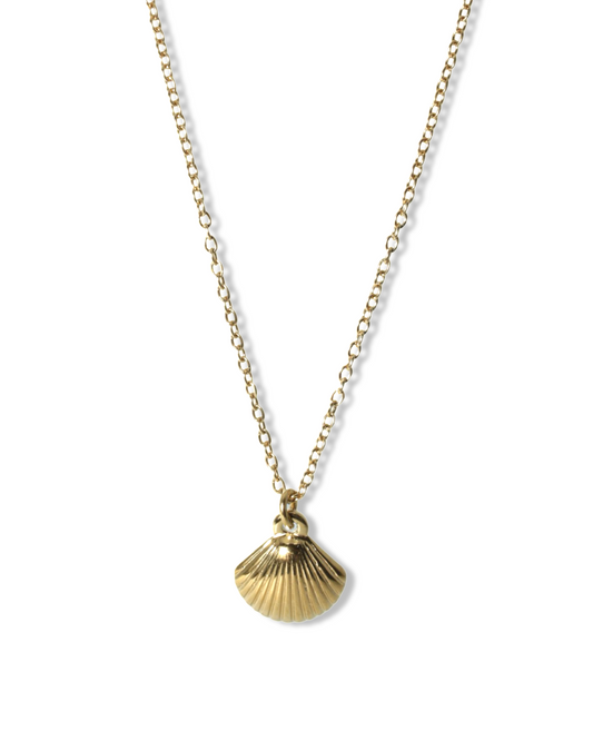 Mini shell ketting
