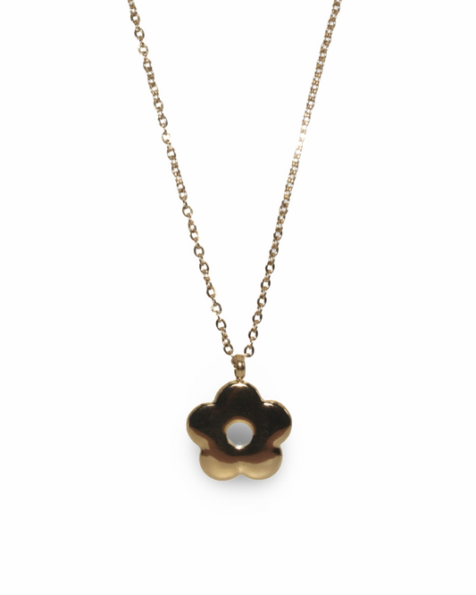 Goldie ketting