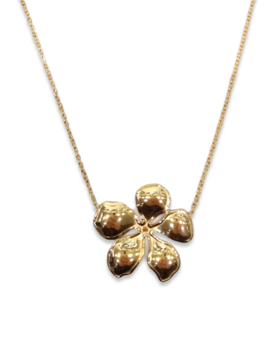Hibiscus ketting