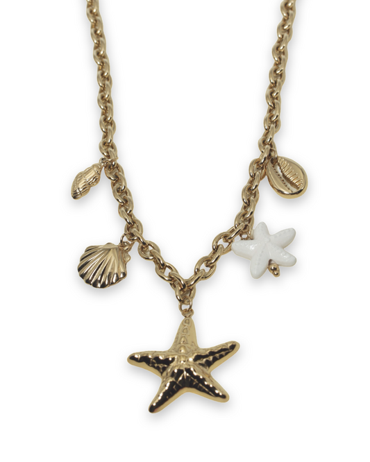 Sea star charm ketting