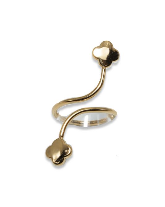 Duo clover ring