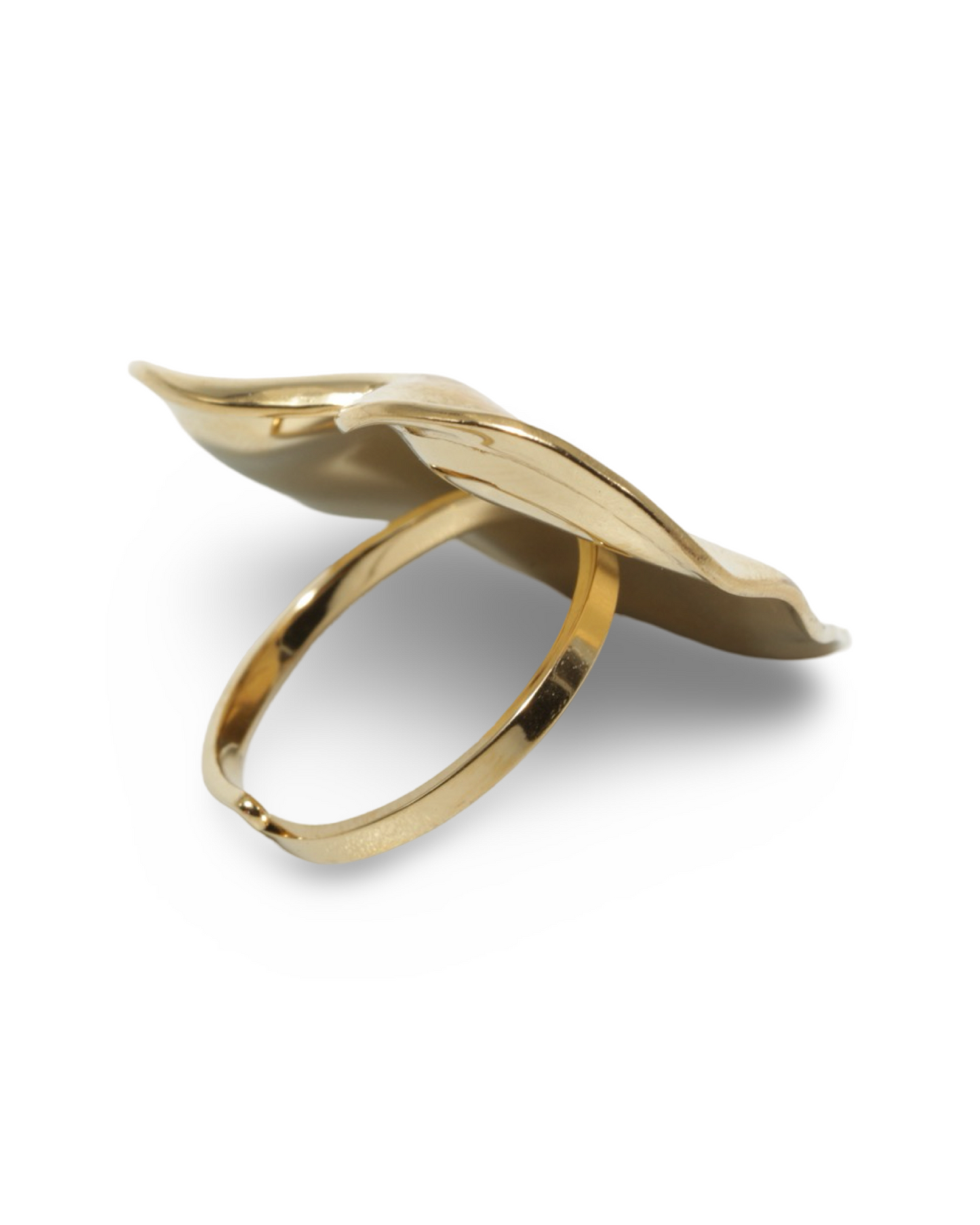 Big heart ring