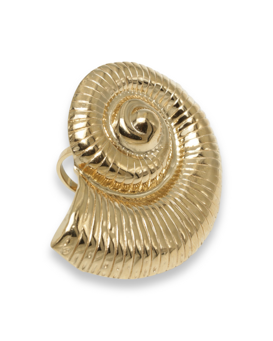Spiral shell XL ring